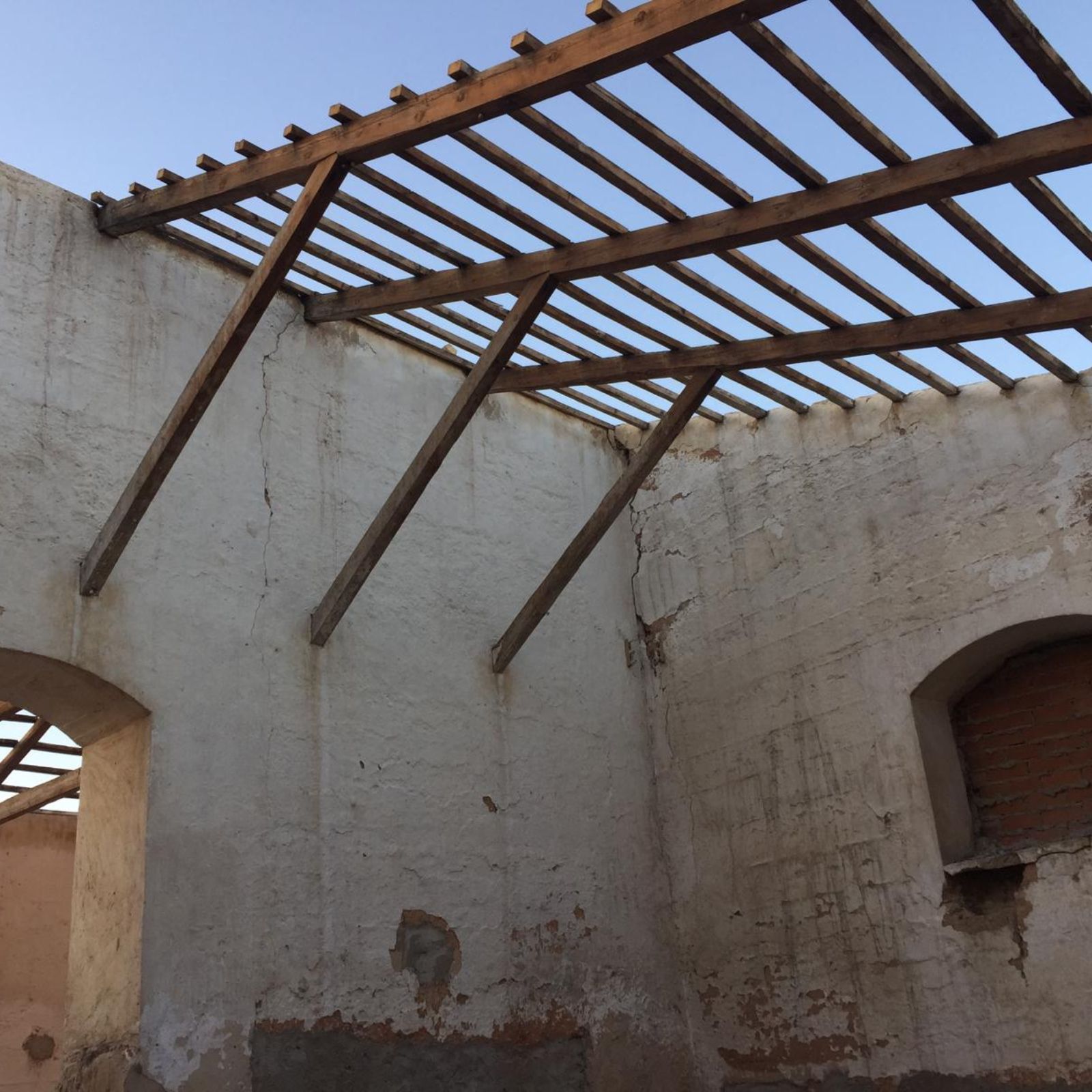 Diseño sin título (86)